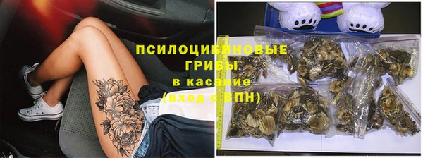 spice Осташков
