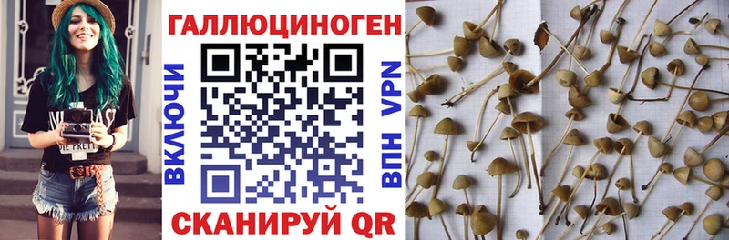 Галлюциногенные грибы мухоморы  Купить  Щигры 